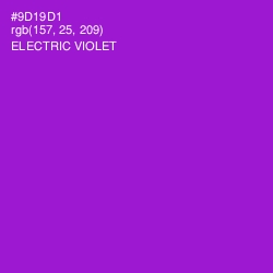 #9D19D1 - Electric Violet Color Image